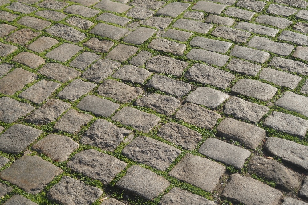 Texture de Pavés Anciens et Herbe pour Style Rustique Pavés de rue anciens avec herbe verte dans les joints, texture minérale et végétale rustique.